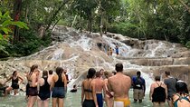 Private Transportation from Montego Bay to Mystic Mountain and Dunn's River Fall