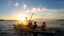 Beautiful Middle Harbour Sunriser / Guided Kayaking Private Tour