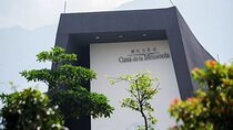 Private tour: The Escobar Years and Medellin's Social Transformation
