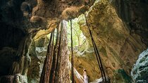  Green Grotto Cave Private Tour