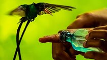 Bird Watcher's Paradise at Rockland Bird Sanctuary