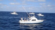 Private Pleasure Trip 31ft Boat 5 pax Capacity