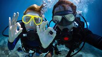 Discover PADI Diving in Barcelona