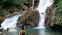 Ys Falls Private Tour