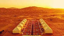 Merzouga Camel ride & Quad Bike 