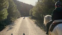 Horseback Riding with Certified Guide