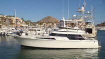 Private Yacht for Snorkel, Sunset or Whale Watching