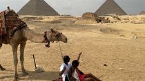 Giza Pyramids, Dahshur and Saqqara Private Tour with Lunch and camel ride