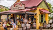  Ys Falls and Appleton Estate Factory Tour with private transportation 