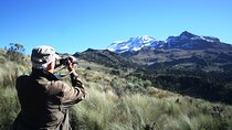 Trekking Through The Volcanoes