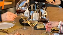 Vineyard Tour with Light Lunch in Valpolicella