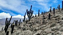 Day long Hike to Inca ruins