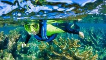 Underwater Museum of Art Snorkel Experience