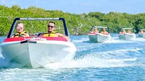 Mangroves and Punta Nizuc Snorkel Adventure by Speedboat