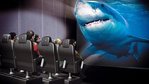 4-Hour Guided Antalya Aquarium Tour 
