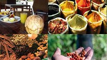 Spice tour in Zanzibar.