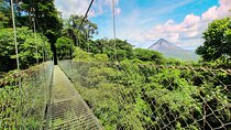 Combo Tour: Hanging Bridges + Thermal Spa in Arenal