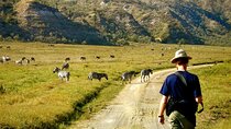 1 Night Tour to Hells Gate Naivasha and Lake Nakuru National Park