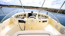 Full-Day Private Yacht Cruise in Saona Island with Lunch