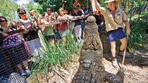 HARTLEY'S CROCODILE TRANSFER between Port Douglas & Hartley's Crocodile (return)