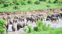 3 Days Serengeti & Ngorongoro Crater group safari