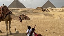 Private 6-Day Cairo and Bahariya Oasis Sightseeing Tour