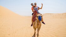 Camel or Horse ride on west bank