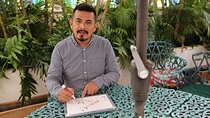 Conversational Spanish Class in Puerto Vallarta, Mexico