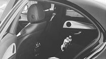 Private Transfer from Roissy CDG airport To the city of Paris