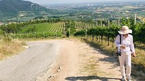 Euganean hills, Ham, Wine and Olive Oil production farm private day tour