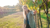 Amarone Wine Tour