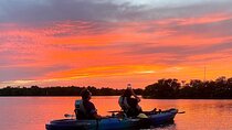 Thousand Islands Mangrove Tunnel & Bio Comb Jelly Sunset Tour