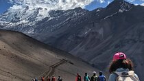 Private 3-Day Hiking in the Andes with pikcup from Santiago 