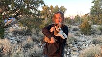 Sedona & Oak Creek Canyon 2-Hour Private Tours 