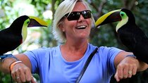Private Day Tour in La Paz Waterfall Gardens & Baldi Hot Springs from San Jose