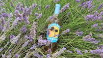 Full Day Private Tour in Lavender and Provence with Pickup