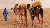 Marrakech: Best Cultural Day Trip Berber Villages & Atlas Mountains & Waterfalls