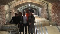 Home to Bull's Blood red wine! Eger with winetaste private tour