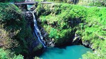 Road to Hana Private Jungle Tour