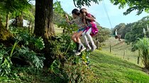 Nature and farm day at "El Terruño de los Torres"