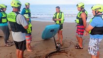 Electric Foilboard rides/lessons/sessions at Sugar Beach, Maui