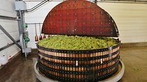 Champagne Guy De Chassey: Traditional Tour & Tasting