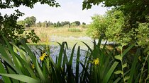 Riviera del Brenta, lagoon and natural areas mystery private tour 