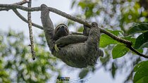 Manuel Antonio National Park tour