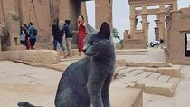 soul mate{4days luxor,aswan}