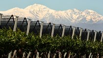 Olive oils, Gourmet products and Wines