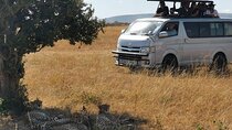 3 Days Budget Private Tour to Maasai Mara with Safari Van