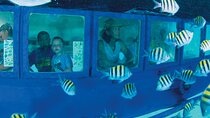 Hop-on Hop-off City Tour Cancun plus Submarine or Bodyboard Experience