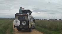 5-Day Private Tour in Mikumi National Park and Udzungwa Mountain