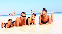 Excursion White Island and Ras Mohammed National Park with snorkeling equipment 